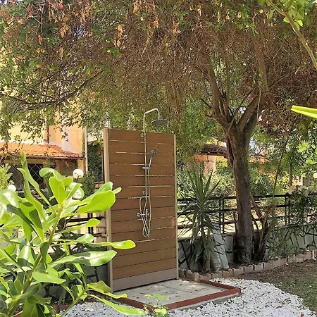 Seashell * Pefkohóri