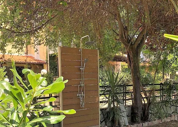 Seashell * Pefkochori