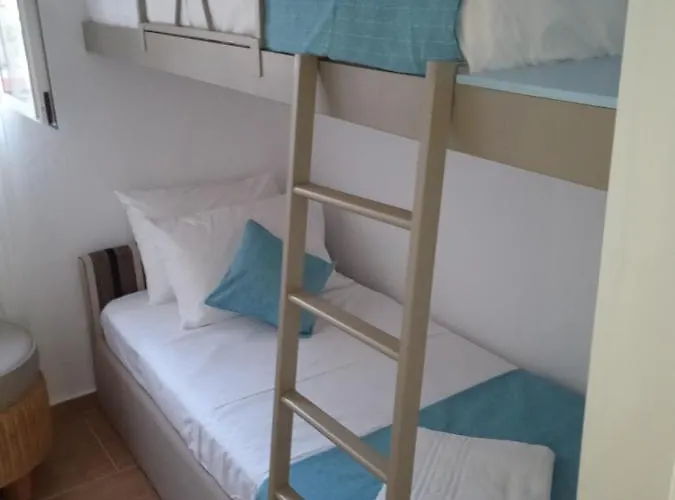 Seashell * 佩科霍里