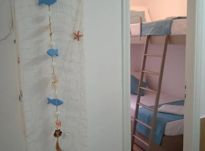 Seashell 佩科霍里