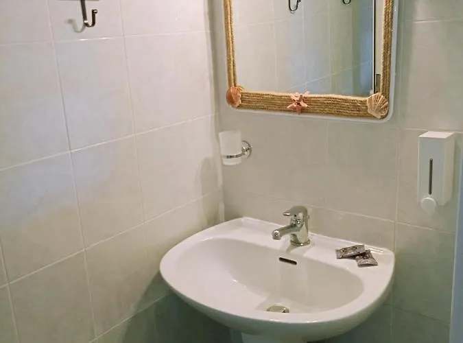 Seashell 佩科霍里