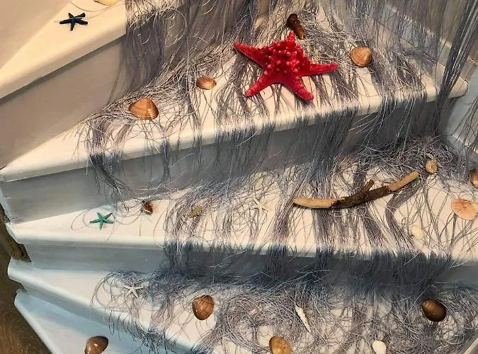 Seashell * 페프코초리